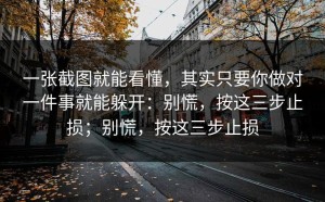一张截图就能看懂，其实只要你做对一件事就能躲开：别慌，按这三步止损；别慌，按这三步止损