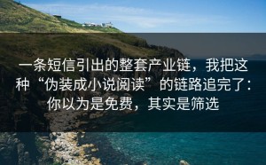 一条短信引出的整套产业链，我把这种“伪装成小说阅读”的链路追完了：你以为是免费，其实是筛选
