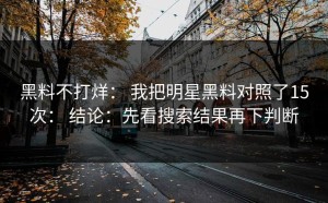 黑料不打烊： 我把明星黑料对照了15次： 结论：先看搜索结果再下判断
