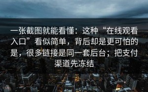 一张截图就能看懂：这种“在线观看入口”看似简单，背后却是更可怕的是，很多链接是同一套后台；把支付渠道先冻结