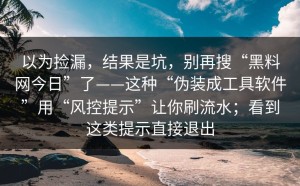 以为捡漏，结果是坑，别再搜“黑料网今日”了——这种“伪装成工具软件”用“风控提示”让你刷流水；看到这类提示直接退出