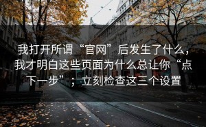 我打开所谓“官网”后发生了什么，我才明白这些页面为什么总让你“点下一步”；立刻检查这三个设置