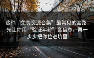 这种“免费资源合集”最常见的套路：先让你用“验证年龄”套信息，再一步步把你拉进坑里