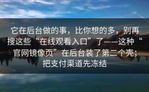它在后台做的事，比你想的多，别再搜这些“在线观看入口”了——这种“官网镜像页”在后台装了第二个壳；把支付渠道先冻结