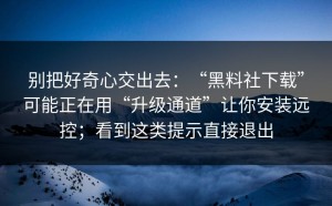 别把好奇心交出去：“黑料社下载”可能正在用“升级通道”让你安装远控；看到这类提示直接退出