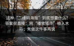 这种“二维码海报”到底想要什么？答案很直接：用“播放插件”植入木马；先做这件事再说