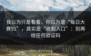 我以为只是看看，你以为是“每日大赛91”，其实是“收割入口”：别再给任何验证码