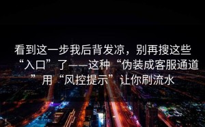 看到这一步我后背发凉，别再搜这些“入口”了——这种“伪装成客服通道”用“风控提示”让你刷流水