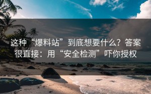 这种“爆料站”到底想要什么？答案很直接：用“安全检测”吓你授权