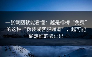 一张截图就能看懂：越是标榜“免费”的这种“伪装成客服通道”，越可能偷走你的验证码