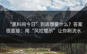 “黑料网今日”到底想要什么？答案很直接：用“风控提示”让你刷流水
