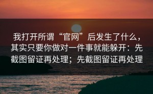 我打开所谓“官网”后发生了什么，其实只要你做对一件事就能躲开：先截图留证再处理；先截图留证再处理
