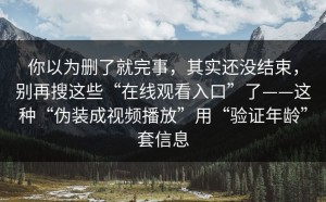 你以为删了就完事，其实还没结束，别再搜这些“在线观看入口”了——这种“伪装成视频播放”用“验证年龄”套信息