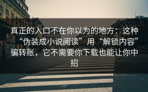 真正的入口不在你以为的地方：这种“伪装成小说阅读”用“解锁内容”骗转账，它不需要你下载也能让你中招