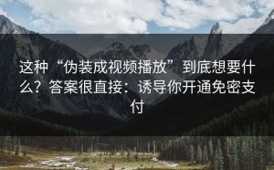 这种“伪装成视频播放”到底想要什么？答案很直接：诱导你开通免密支付