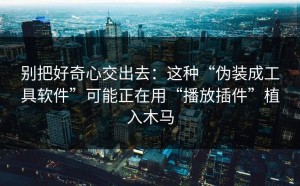 别把好奇心交出去：这种“伪装成工具软件”可能正在用“播放插件”植入木马