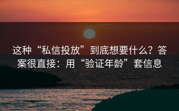 这种“私信投放”到底想要什么?答案很直接:用“验证年龄”套信息 这种“私信投放”到底想要什么?答案很直接:用“验证年龄”套信息