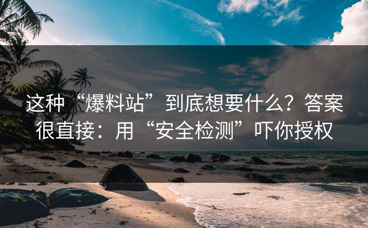 这种“爆料站”到底想要什么？答案很直接：用“安全检测”吓你授权