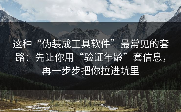 这种“伪装成工具软件”最常见的套路：先让你用“验证年龄”套信息，再一步步把你拉进坑里