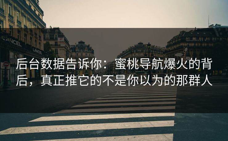 后台数据告诉你：蜜桃导航爆火的背后，真正推它的不是你以为的那群人