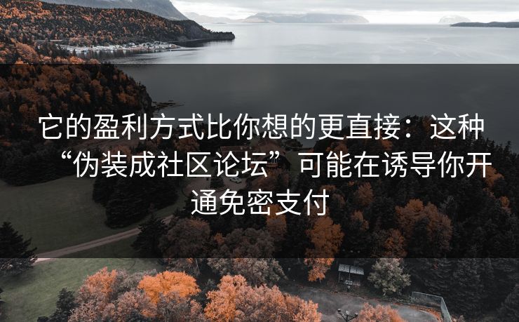它的盈利方式比你想的更直接:这种“伪装成社区论坛”可能在诱导你开通免密支付 它的盈利方式比你想的更直接:这种“伪装成社区论坛”可能在诱导你开通免密支付
