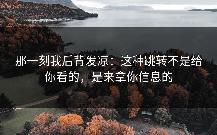 那一刻我后背发凉:这种跳转不是给你看的,是来拿你信息的 那一刻我后背发凉:这种跳转不是给你看的,是来拿你信息的